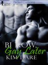Bi Now, Gay Later